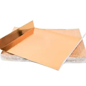 Złote błyszczące wkładki do opakowań na sushi 25x25 cm 1 szt